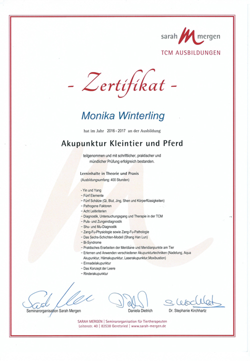 Akupunktur