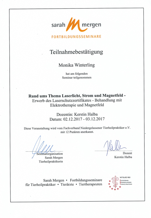 Laser, Strom, Magnetfeld