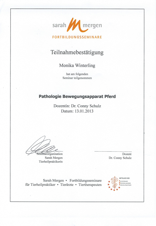 path. Bewegungsapparat