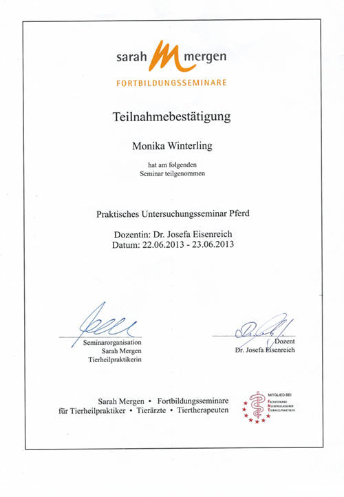 rakt. Untersuchungsseminar